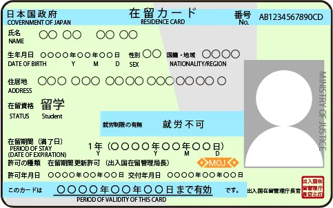 在留カードの見本画像