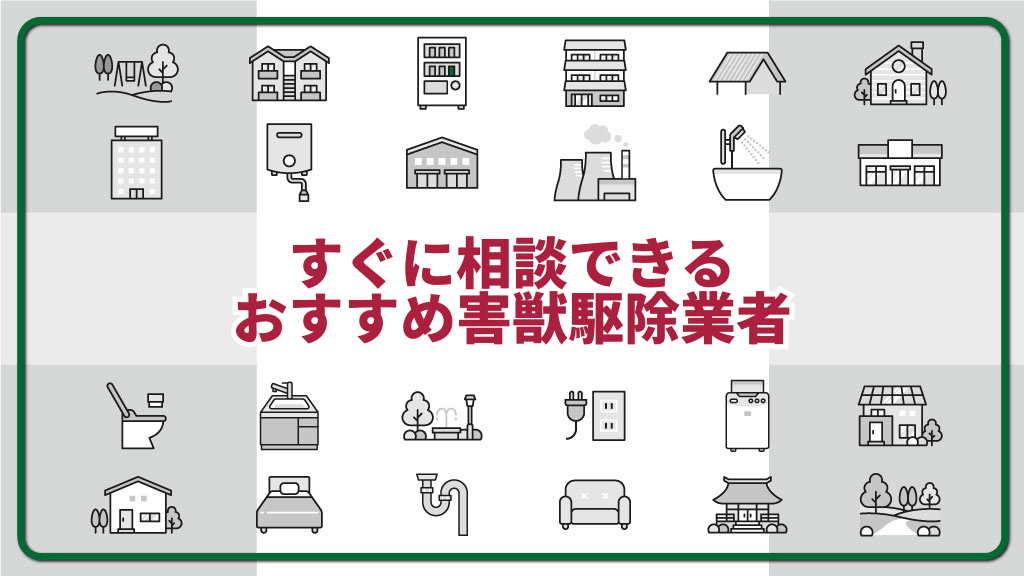 すぐに相談できるおすすめ害獣駆除業者