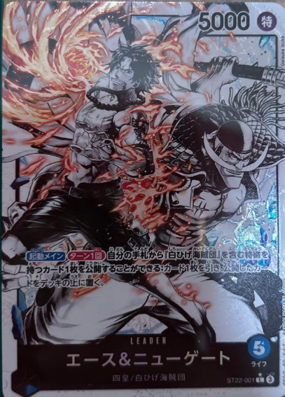 エース&ニューゲート