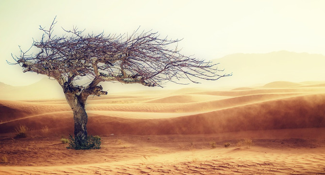 テロワールを構成する土壌・気候・地形・人的要素のイメージ