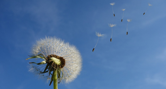 価値あるワインの買取という選択肢を示すイメージ