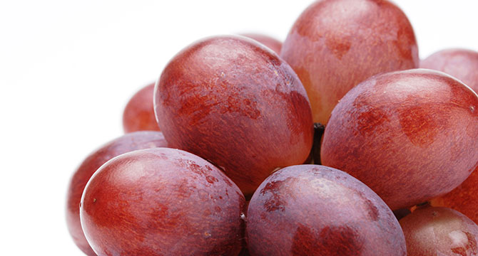 ブドウの果皮に付着する酵母の種類のイメージ