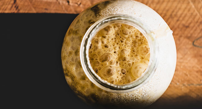 ワインのアルコール発酵と酵母の働きのイメージ