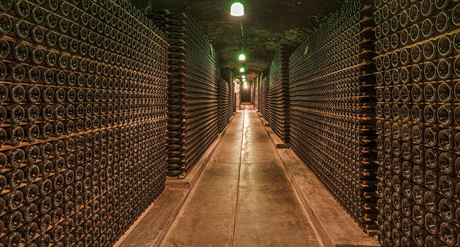 ワインの培養酵母（選抜酵母）のイメージ