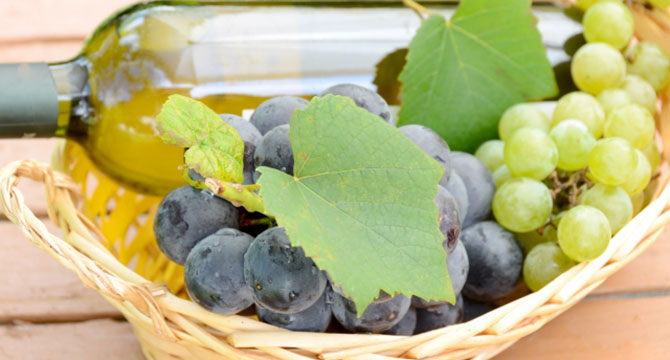 ボトリティス・シネレア菌で貴腐化したブドウのイメージ