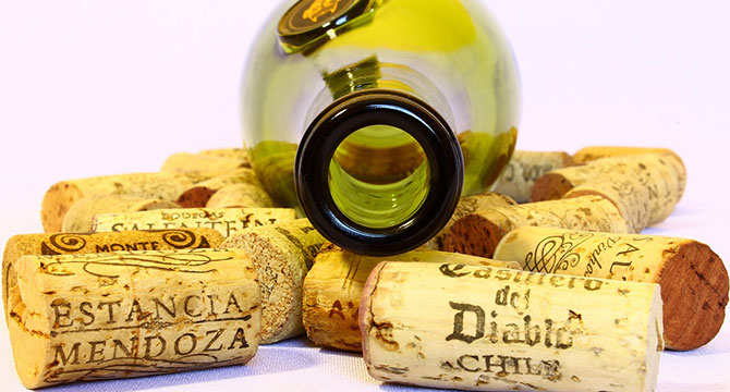 シャトー・ディケムとフォアグラ・チーズのペアリングイメージ