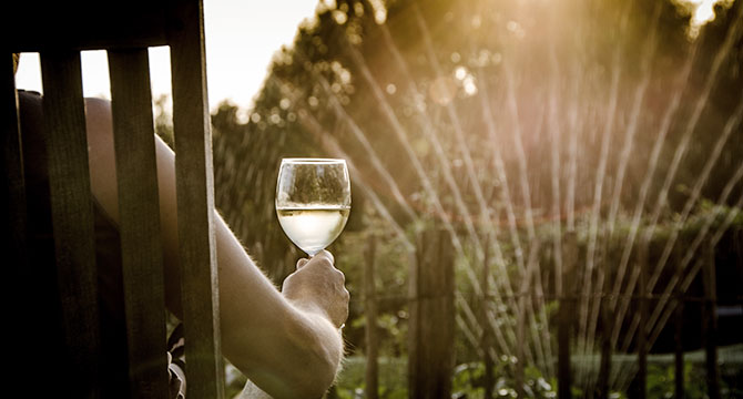 シャトー・ディケムのまとめイメージ