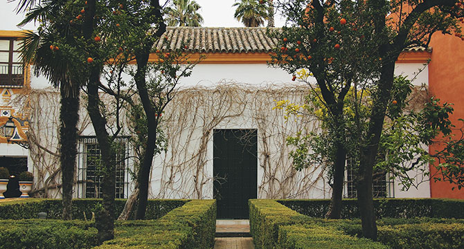 スペインのブドウ畑と醸造所のイメージ