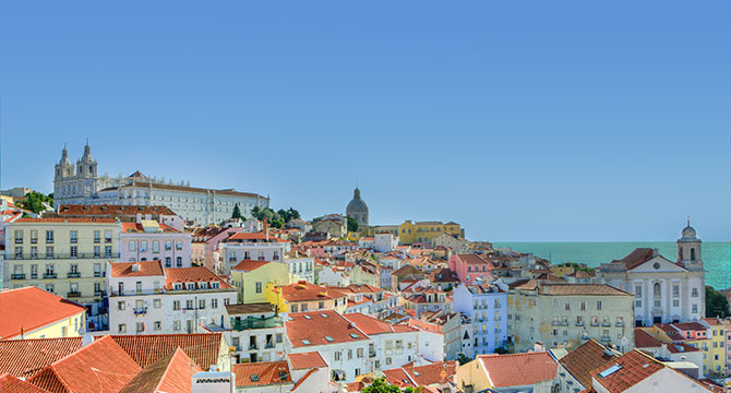 ポルトガルのブドウ収穫のイメージ