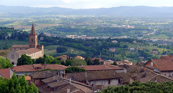 ウンブリア州「緑の心臓」の丘陵地帯ブドウ畑イメージ