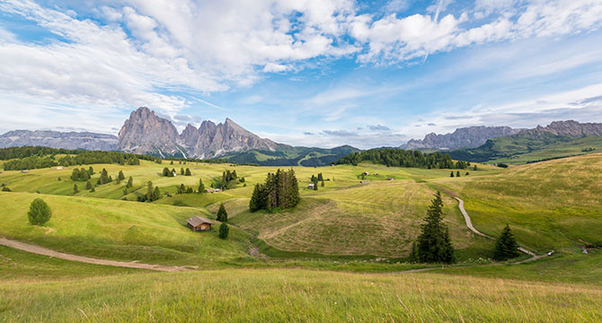 ラツィオ州ローマのフラスカーティワイン産地イメージ