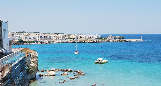 プーリア州プリミティーヴォの赤ワイン畑イメージ