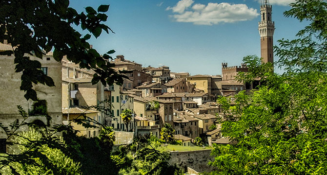 カンパーニア州ナポリ・ヴェスヴィオ火山のワイン畑イメージ