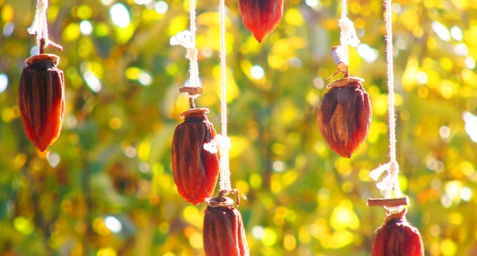 お酒のテイスティングで香りを表現する