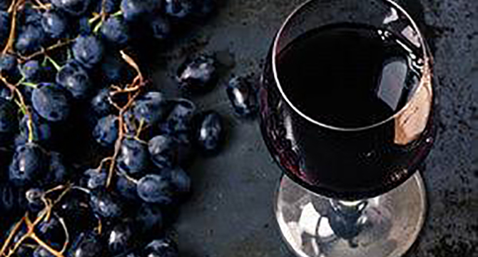 ブルゴーニュワインのピノ・ノワール畑のイメージ