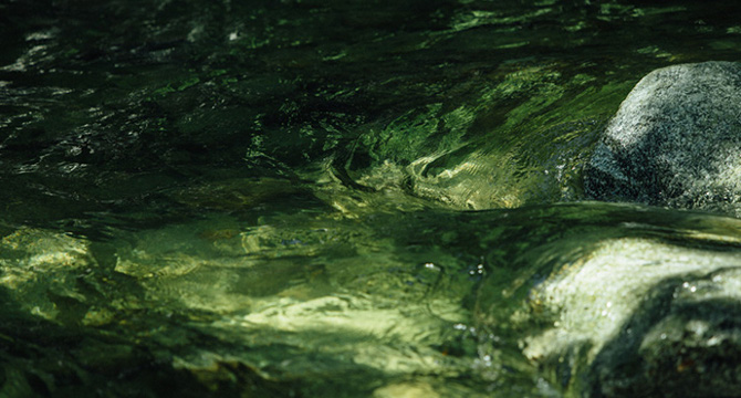 七賢 スパークリング 杜ノ奏