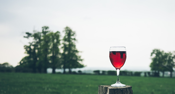 長野県の信州ワインバレーのブドウ畑イメージ