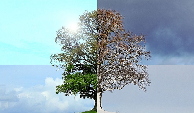 季節の移り変わり