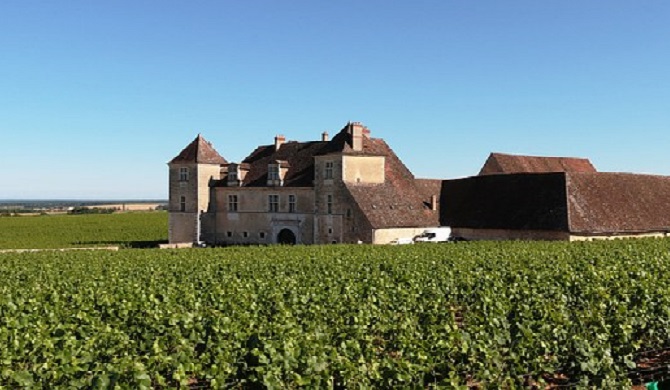 建物とぶどう畑