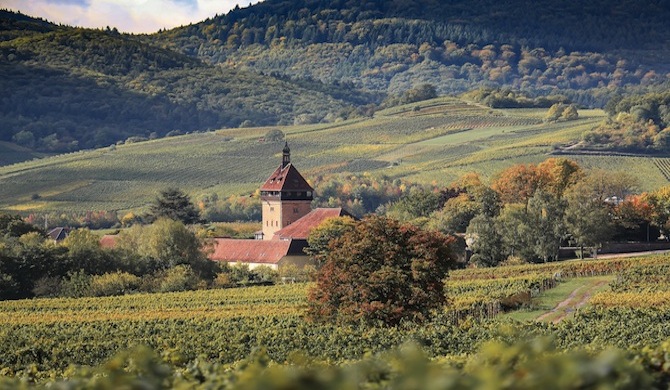 買うより行くほうが手軽 世界一のワイン ロマネコンティの畑とは Sakeuru By Stock Lab