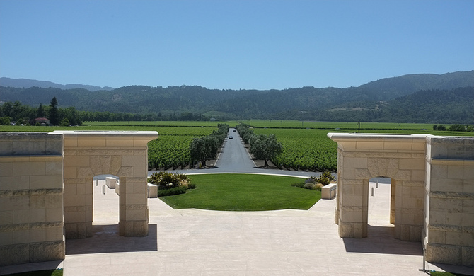 近代的なワイナリー