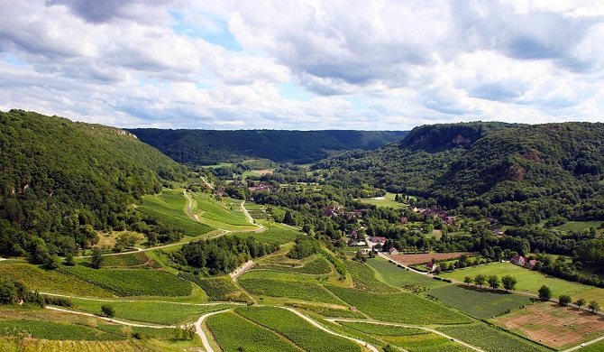 フランスブドウ畑