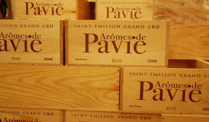 近年めきめき実力上昇