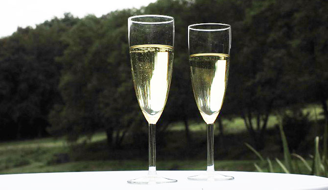 森とシャンパン