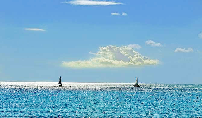 海