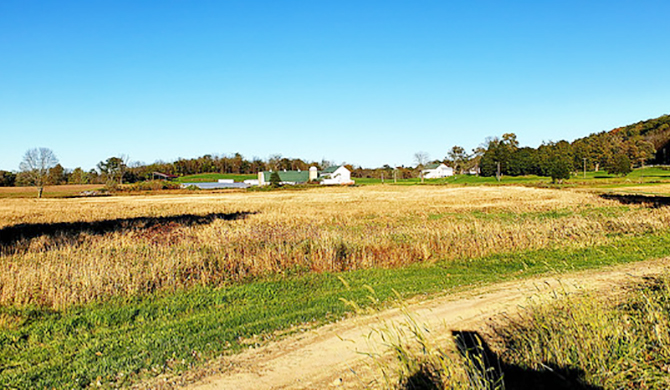 ヘブンヒルの景色