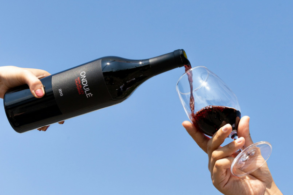 北海道でしか買えないお酒　ウイスキー以外